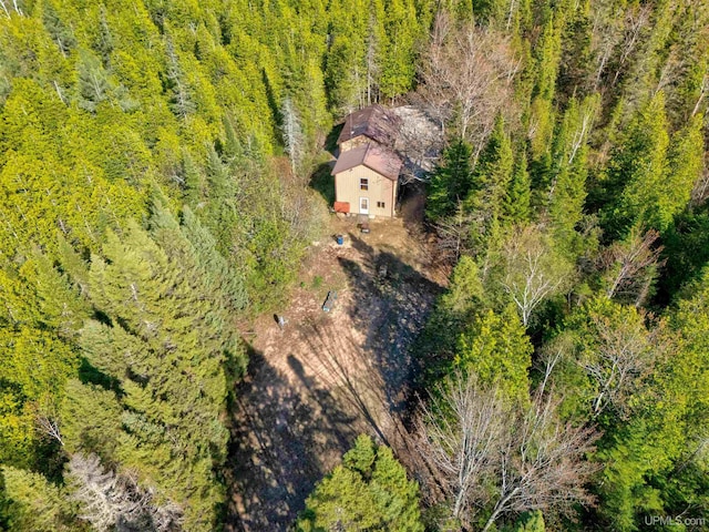 3159 N State Highway M94, Manistique, MI 49854 - aerial view of property and surrounding area featuring a forest