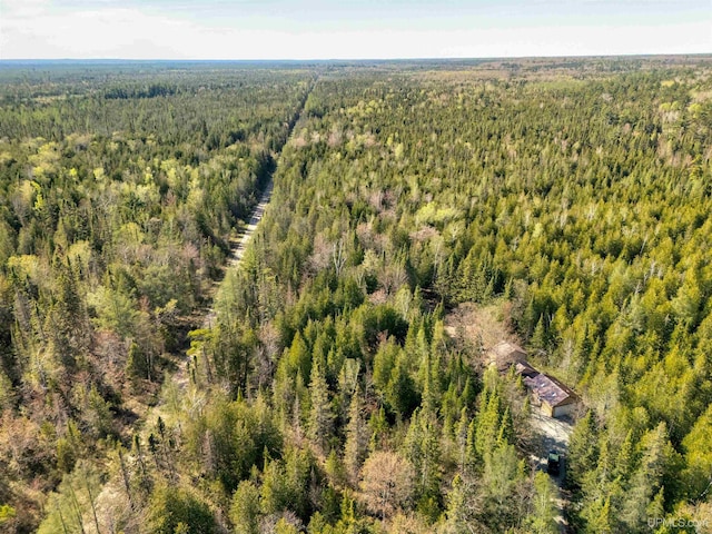 3159 N State Highway M94, Manistique, MI 49854 - bird's eye view of a forest