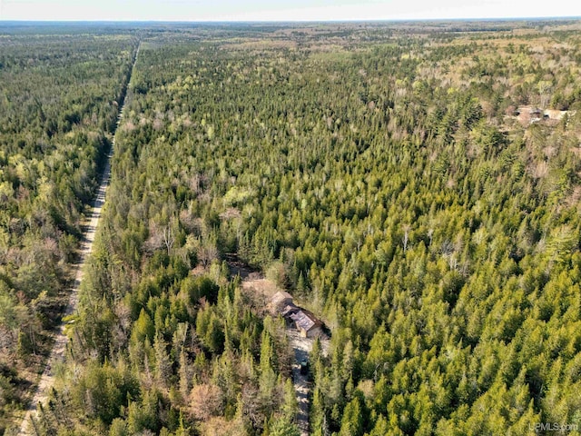 3159 N State Highway M94, Manistique, MI 49854 - drone / aerial view of a forest