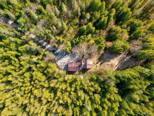 3159 N State Highway M94, Manistique, MI 49854 - view of property location