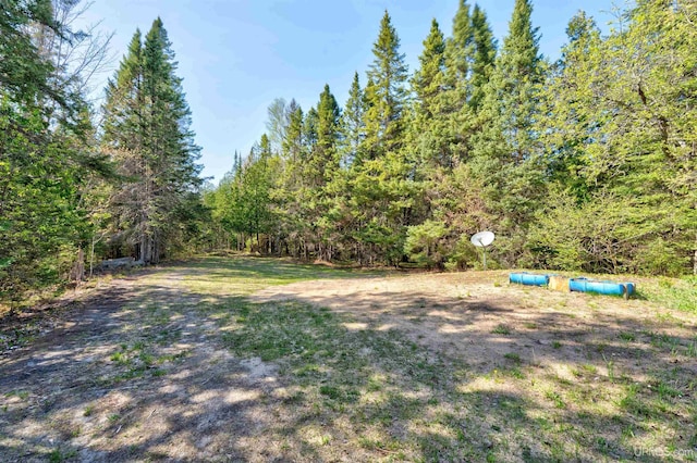 3159 N State Highway M94, Manistique, MI 49854 - view of yard featuring a view of trees