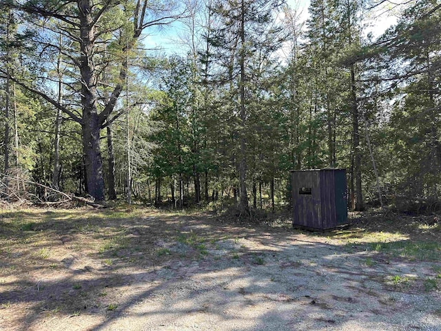 3159 N State Highway M94, Manistique, MI 49854 - view of yard featuring a forest view