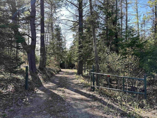 3159 N State Highway M94, Manistique, MI 49854 - view of dirt / gravel road with a forest view