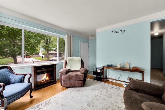 3582 David K Dr, Waterford, MI 48329 - living room featuring light wood-type flooring and a glass covered fireplace