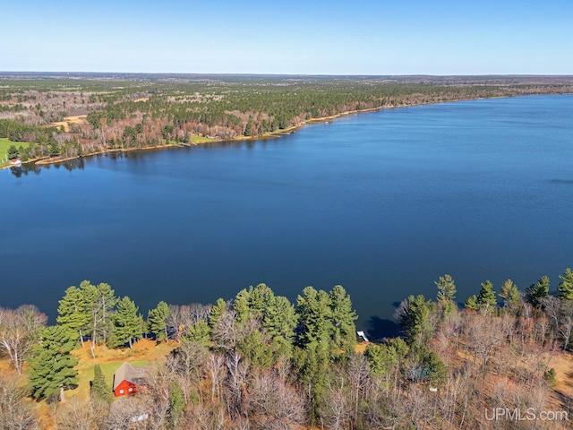 3172 Harry Patterson Dr, Phelps, WI 54554 - bird's eye view of a forest and a nearby body of water
