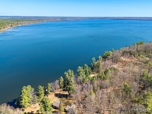 3172 Harry Patterson Dr, Phelps, WI 54554 - bird's eye view of a nearby body of water
