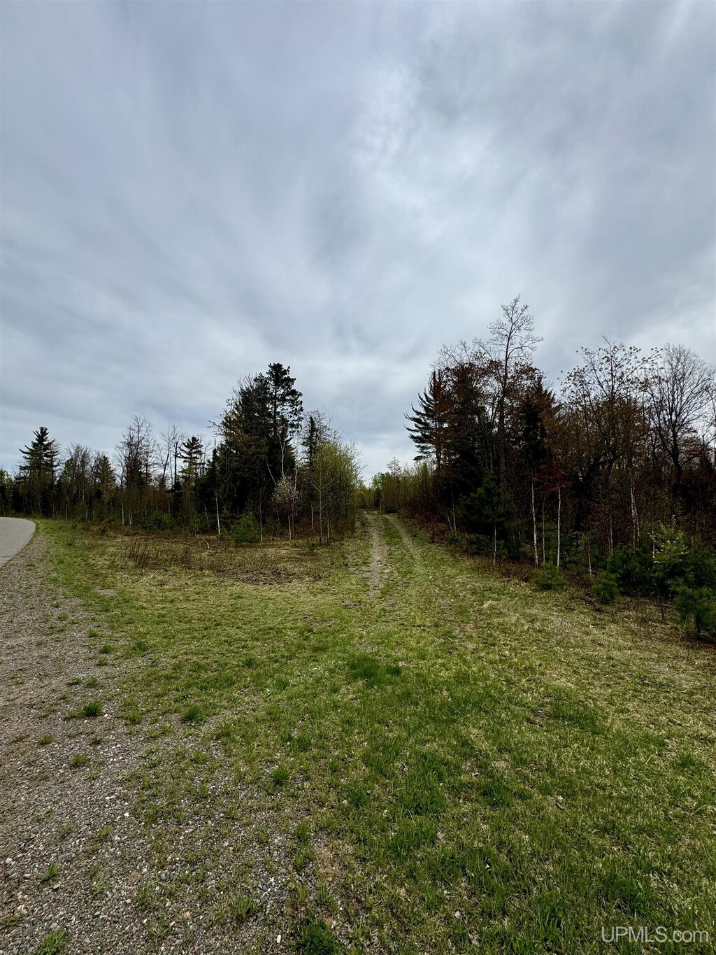 TBD N Greenwood Lake Dr, Ishpeming, MI 49849