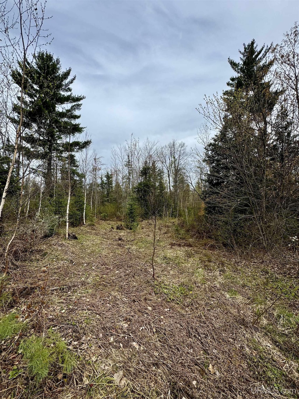 TBD N Greenwood Lake Dr, Ishpeming, MI 49849