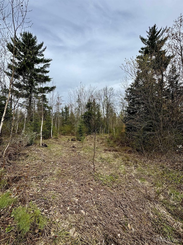 TBD N Greenwood Lake Dr, Ishpeming, MI 49849