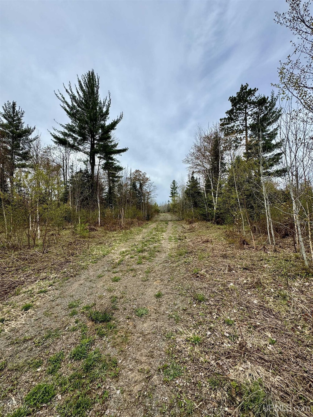 TBD N Greenwood Lake Dr, Ishpeming, MI 49849