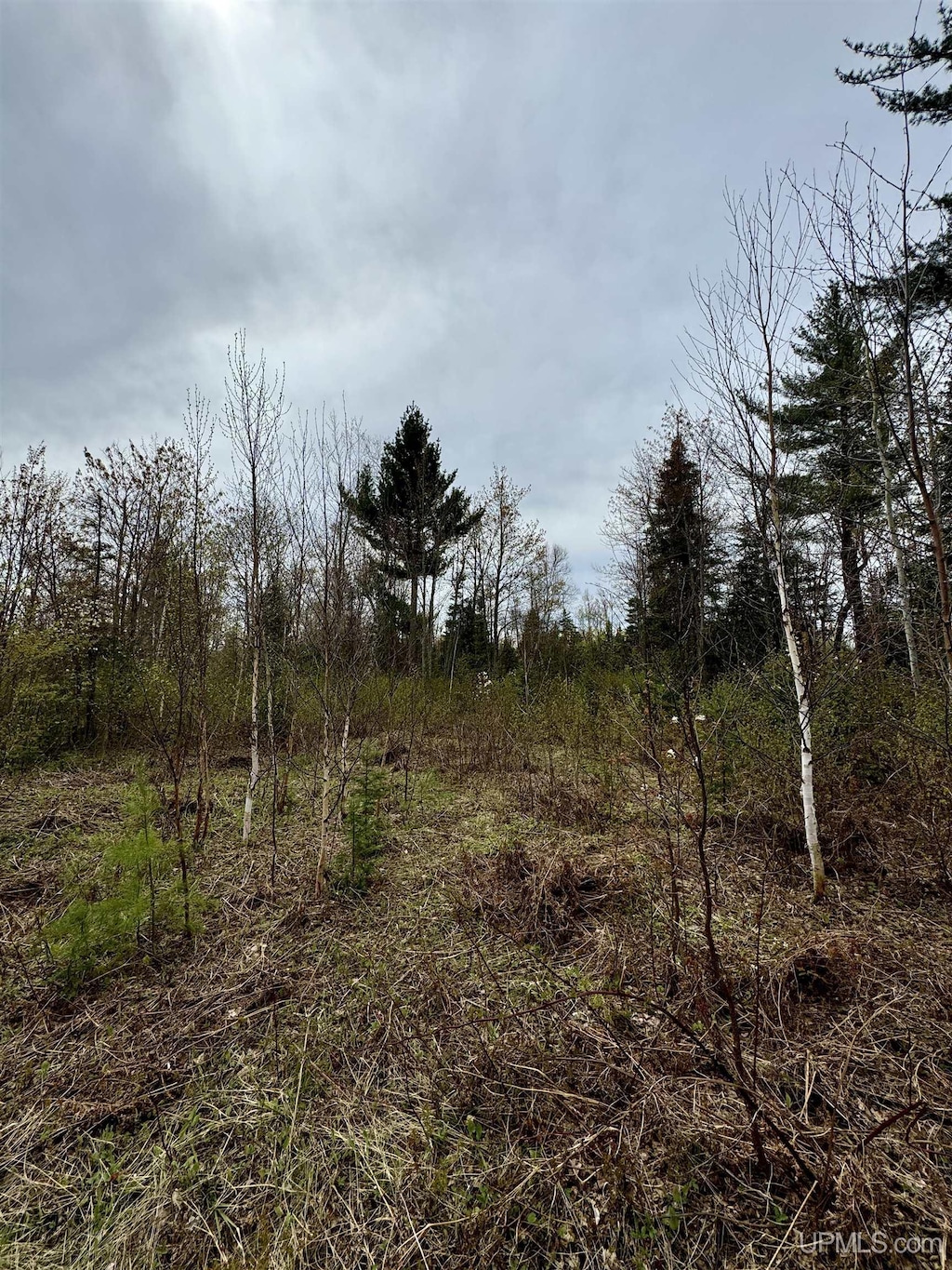 TBD N Greenwood Lake Dr, Ishpeming, MI 49849