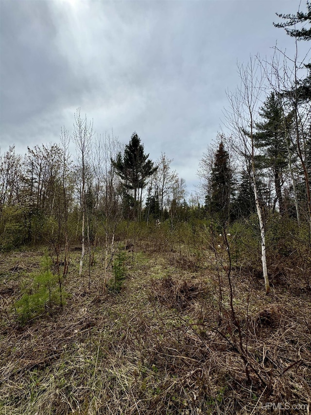 TBD N Greenwood Lake Dr, Ishpeming, MI 49849