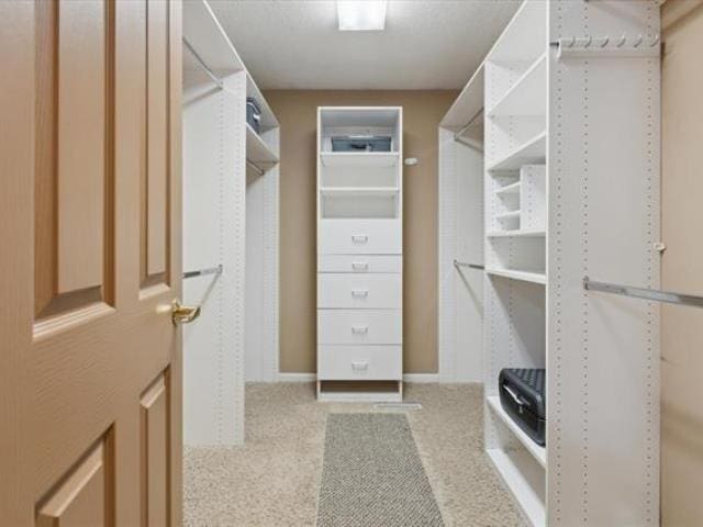 5631 W Spring Knoll Dr, Bay City, MI 48706 - spacious closet featuring carpet floors