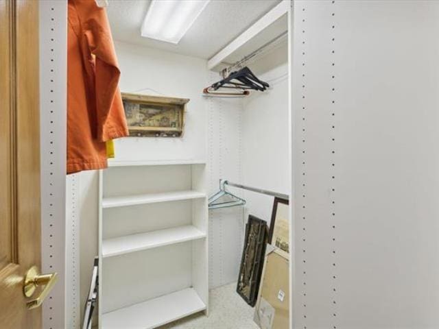 5631 W Spring Knoll Dr, Bay City, MI 48706 - view of spacious closet