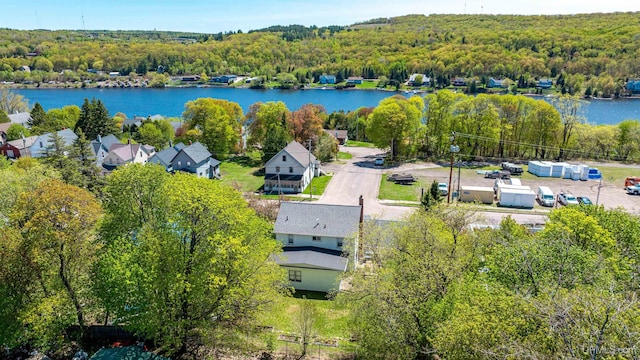 817 W Water St, Hancock, MI 49930 - bird's eye view of a large body of water and a heavily wooded area
