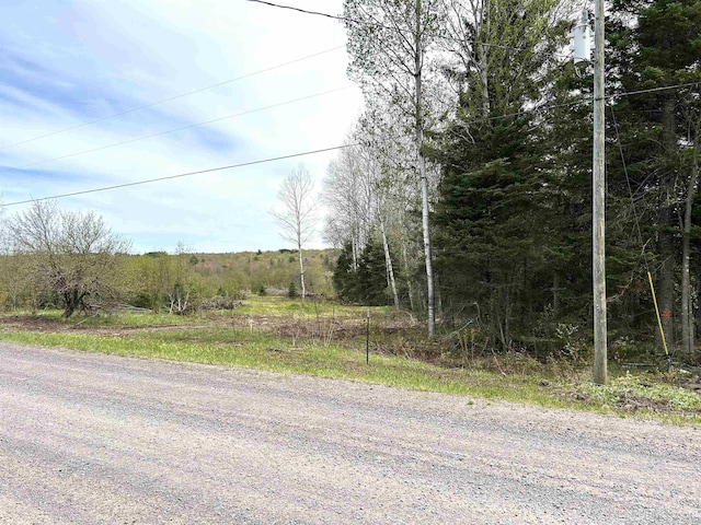 TBD Lower Worham Rd, Chassell, MI 49916