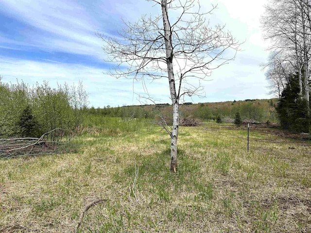 TBD Lower Worham Rd, Chassell, MI 49916