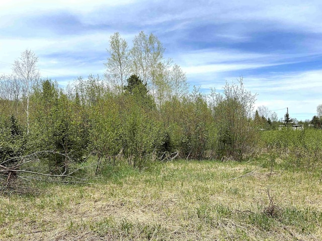 TBD Lower Worham Rd, Chassell, MI 49916