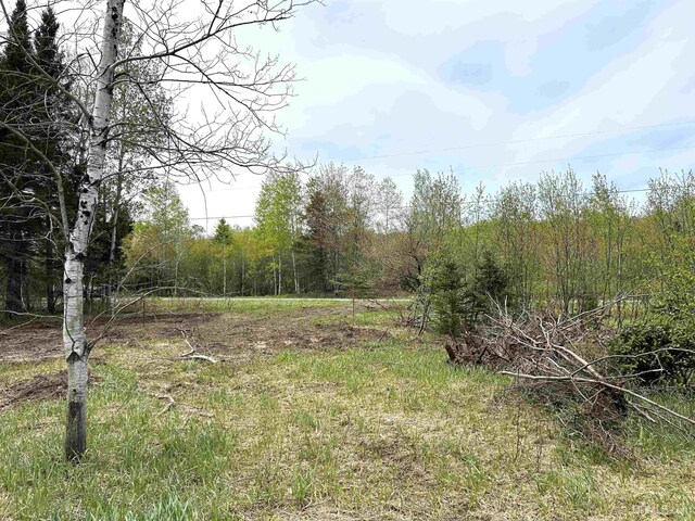TBD Lower Worham Rd, Chassell, MI 49916