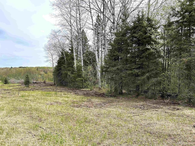 TBD Lower Worham Rd, Chassell, MI 49916