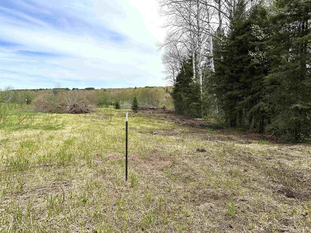 TBD Lower Worham Rd, Chassell, MI 49916