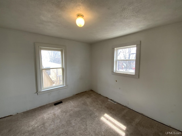 331 W Bluff St, Marquette, MI 49855 - unfurnished room with healthy amount of natural light, carpet floors, and a textured ceiling