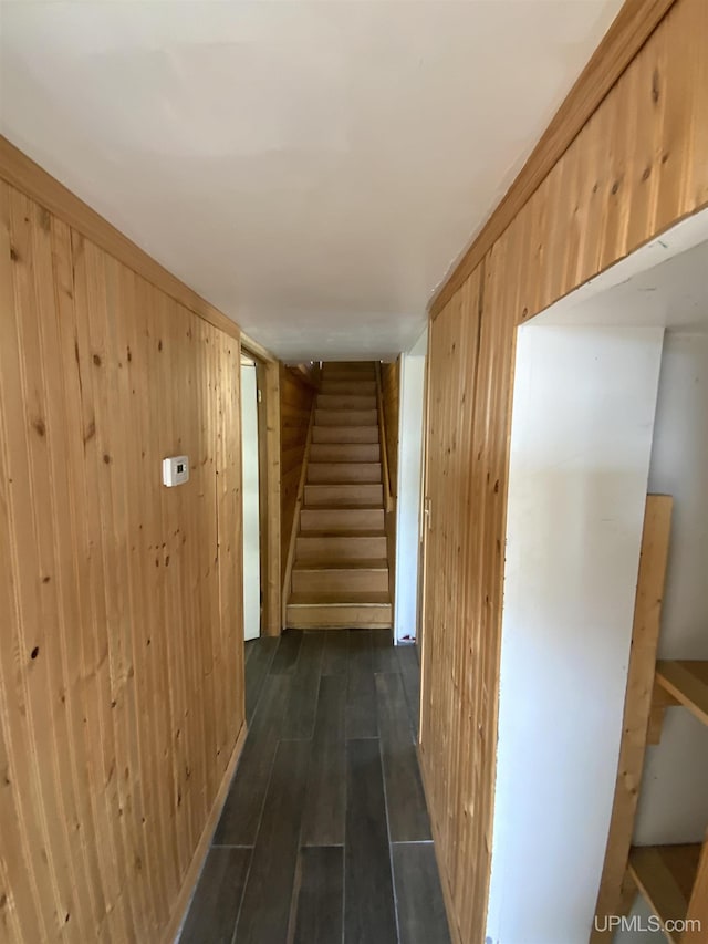 331 W Bluff St, Marquette, MI 49855 - corridor featuring wooden walls, dark wood-type flooring, and stairway