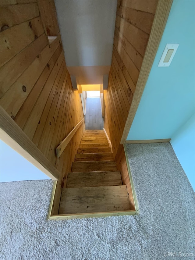 331 W Bluff St, Marquette, MI 49855 - stairway with wood walls and carpet floors