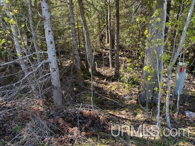 TBD37 Harbor Coast Ln, Copper Harbor, MI 49918