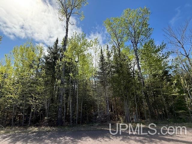TBD37 Harbor Coast Ln, Copper Harbor, MI 49918