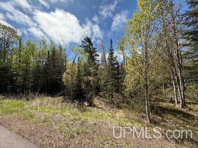 TBD37 Harbor Coast Ln, Copper Harbor, MI 49918