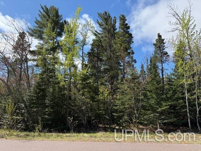 TBD37 Harbor Coast Ln, Copper Harbor, MI 49918