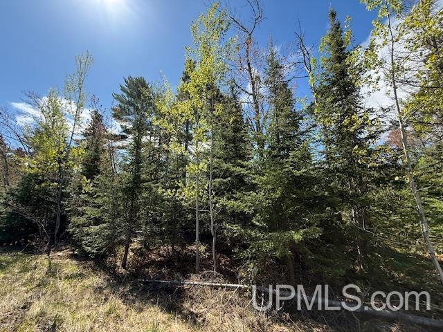 TBD37 Harbor Coast Ln, Copper Harbor, MI 49918