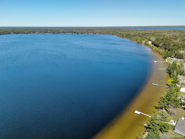 546N W Gulliver Lake Rd, Gulliver, MI 49840 - water view featuring a forest