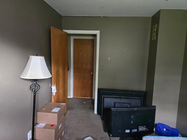 711 Moore St, Owosso, MI 48867 - miscellaneous room with carpet floors
