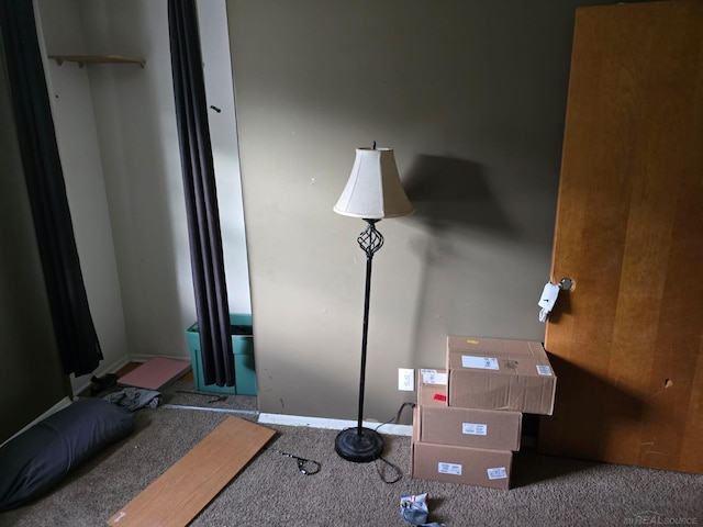 711 Moore St, Owosso, MI 48867 - miscellaneous room with carpet floors