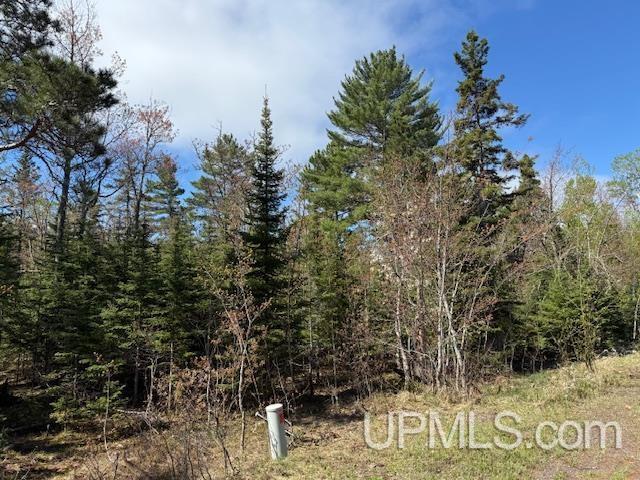 TBD38 Harbor Coast Ln, Copper Harbor, MI 49918