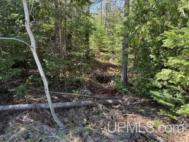 TBD38 Harbor Coast Ln, Copper Harbor, MI 49918