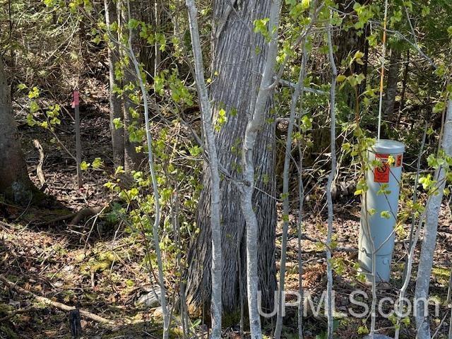 TBD38 Harbor Coast Ln, Copper Harbor, MI 49918