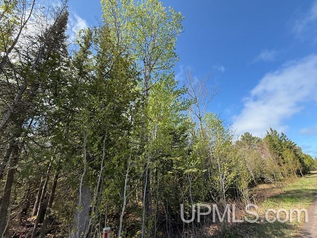 TBD38 Harbor Coast Ln, Copper Harbor, MI 49918