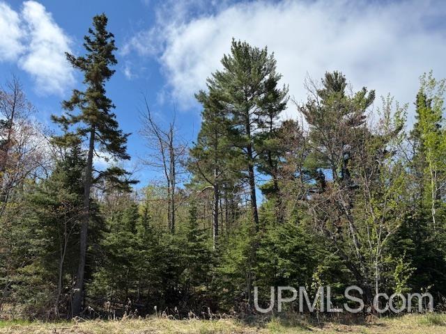 TBD38 Harbor Coast Ln, Copper Harbor, MI 49918
