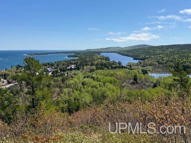 TBD38 Harbor Coast Ln, Copper Harbor, MI 49918