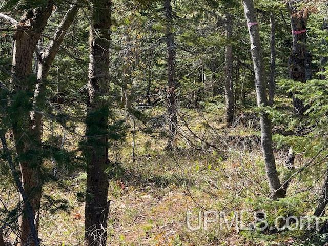 TBD38 Harbor Coast Ln, Copper Harbor, MI 49918