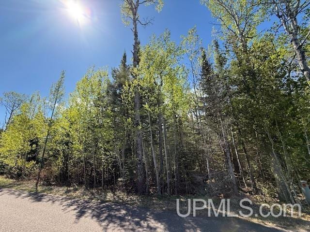 TBD38 Harbor Coast Ln, Copper Harbor, MI 49918