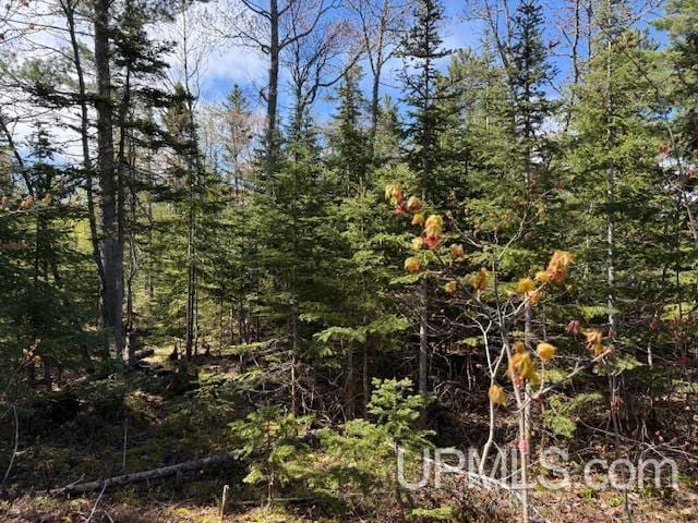 TBD38 Harbor Coast Ln, Copper Harbor, MI 49918