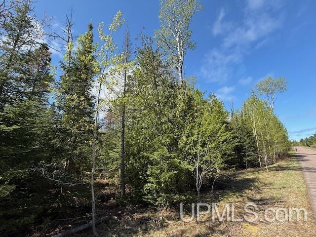 TBD38 Harbor Coast Ln, Copper Harbor, MI 49918