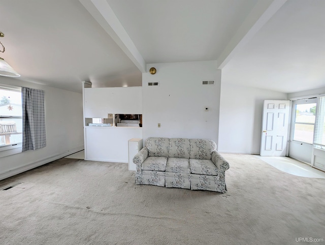 116 Caribou St, Gwinn, MI 49841 - living area with carpet