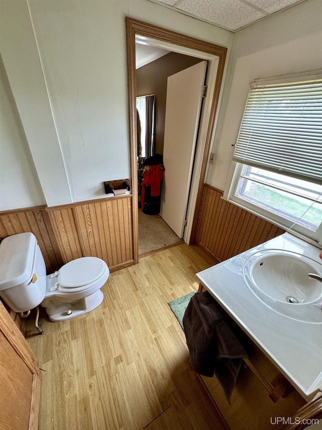 584 Elliott Ave, Ishpeming, MI 49849 - bathroom featuring wainscoting, toilet, wood finished floors, and vanity