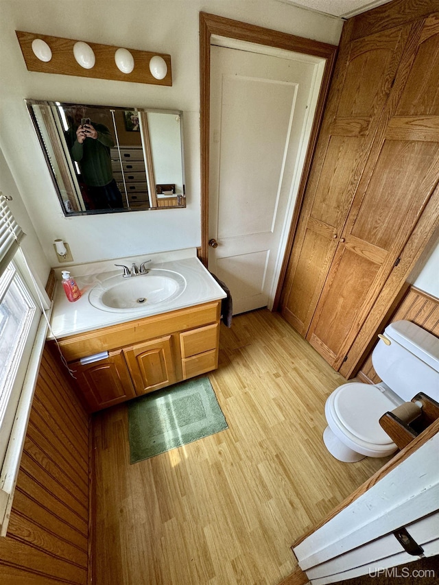 584 Elliott Ave, Ishpeming, MI 49849 - bathroom with wood finished floors, vanity, and toilet
