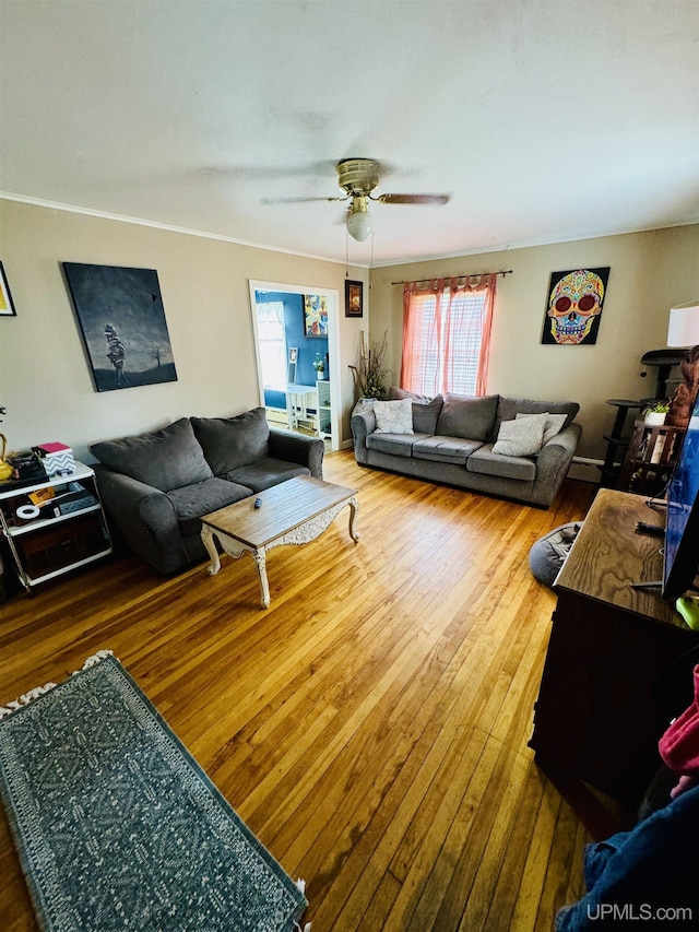 584 Elliott Ave, Ishpeming, MI 49849 - living area featuring wood-type flooring, healthy amount of natural light, a ceiling fan, and crown molding